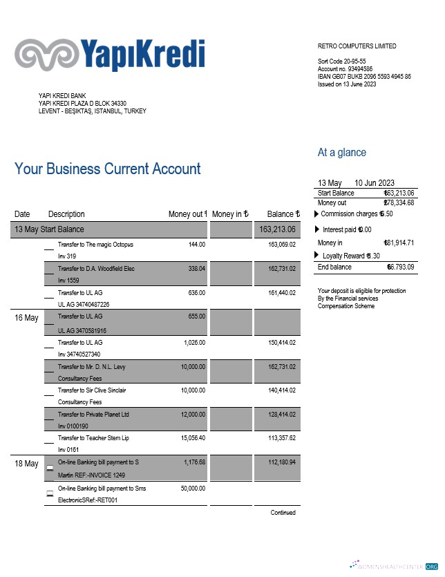 Download Yapi Kredi Bank organization account statement Word and PDF template Photoshop template